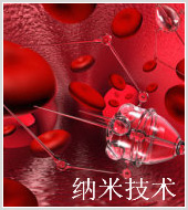 Маркетинговое исследование китайского рынка нанотехнологий (наноотрасли в Китае)