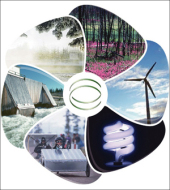 Обзор рынка возобновляемых источников энергии в 2009 году