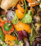 Маркетинговое исследование рынка переработки пищевых отходов