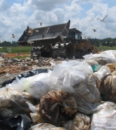 Маркетинговое исследование российского рынка переработки твердых бытовых отходов