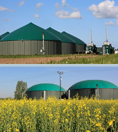 Маркетинговое исследование рынка переработки биогаза