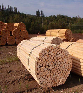 Маркетинговое исследование российского рынка древесины (рынка лесозаготовки)