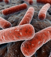 Маркетинговое исследование рынка молекулярно-генетической диагностики туберкулеза