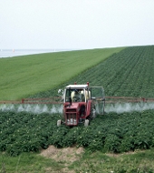 Маркетинговое исследование рынка химических средств защиты растений Крымского федерального округа