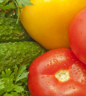 Маркетинговое исследование российского рынка свежих огурцов и томатов