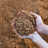 Анализ рынка шротов и жмыхов масличных культур