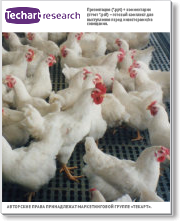 Маркетинговое исследование рынка оборудования для промышленного птицеводства