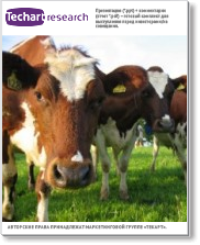 Анализ российского рынка кормовых аминокислот (вер.8)