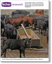 Бизнес-план открытия мясной фермы (фермы по разведению крупного рогатого скота)