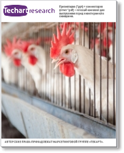 Обзор рынка оборудования для промышленного птицеводства