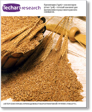 Обзор российского рынка пшеницы