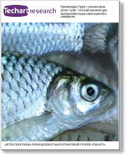 Анализ возможностей и перспектив выхода на рынок рыбы и рыбной продукции