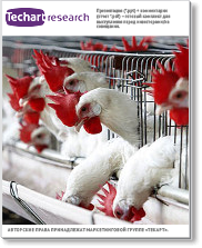 База данных российских производителей мяса птицы (птицефабрик)