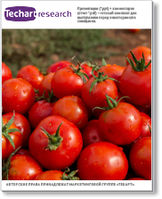 Анализ российского рынка свежих огурцов и томатов